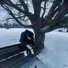 Someone
