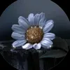 Someone