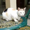 Someone