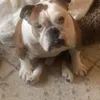 Someone