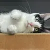 Someone