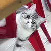 Someone