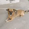 Someone