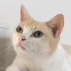 Someone