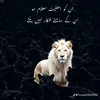 Someone