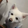 Someone