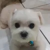 Someone