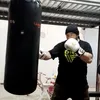 salvoboxe_pitbull