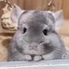 Someone