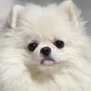 Someone