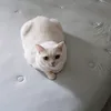 Someone