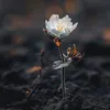 Someone