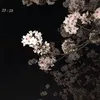 Someone