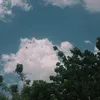 Someone