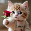 Someone