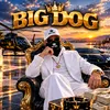 BigDog