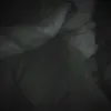 Someone