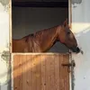 Someone