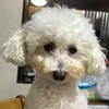 Someone