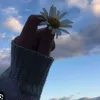 Someone