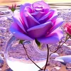 Someone