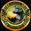 Someone