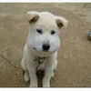 Someone