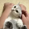 Someone