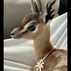 Someone