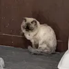 Someone