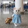 Someone