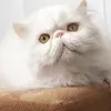 Someone