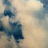 Someone