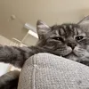 Someone