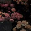 Someone