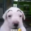 Someone