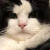 Someone