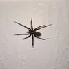 Someone