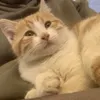 Someone