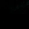 Someone