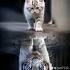 Someone