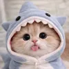 Someone