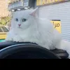 Someone
