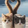Someone