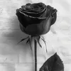 Someone