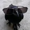vlad_11q