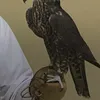 Someone