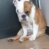 Someone