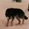 Someone