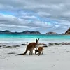 Someone